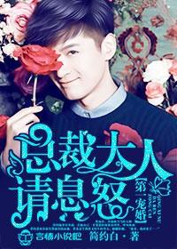原来你还在这里全集免费
