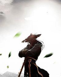 泣血剑武魂